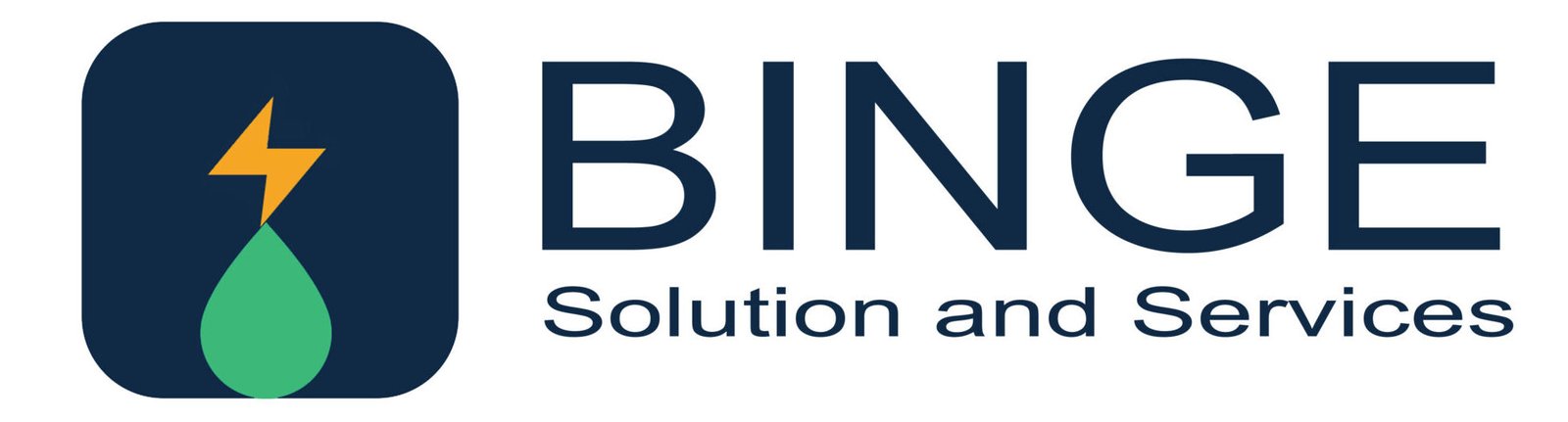 Binge Solution and Services